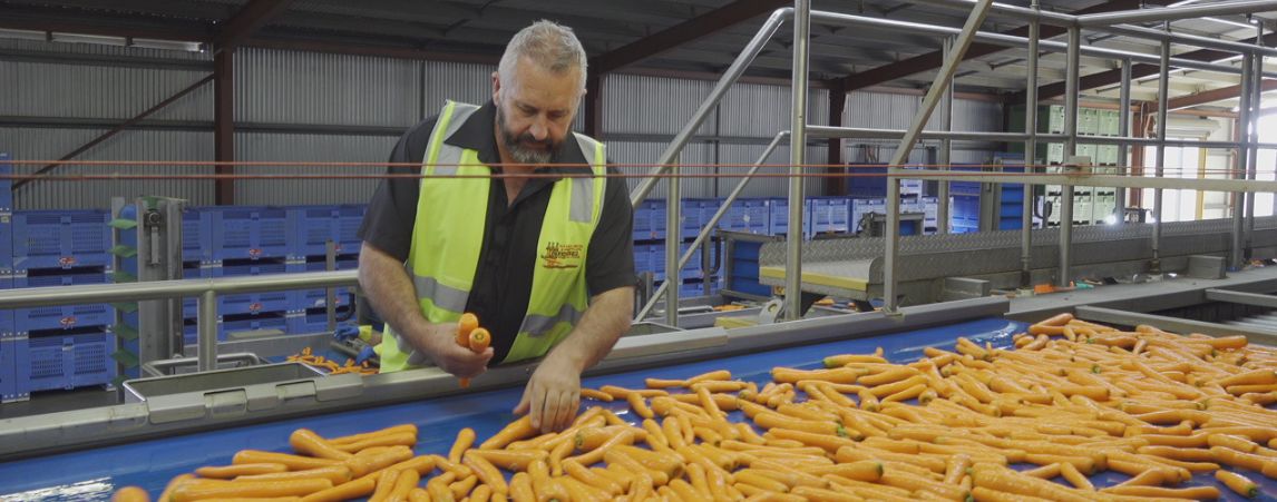 Nicol Carrots - Powered by Smart Irrigation